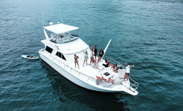 Sea Ray - Quepos - Image 4
